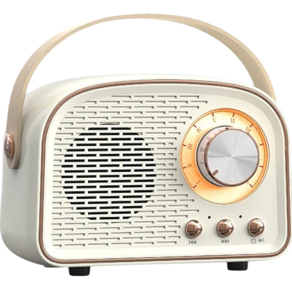 Altavoz Retro Bluetooth DW21 Estilo Clásico y Sonido Premium